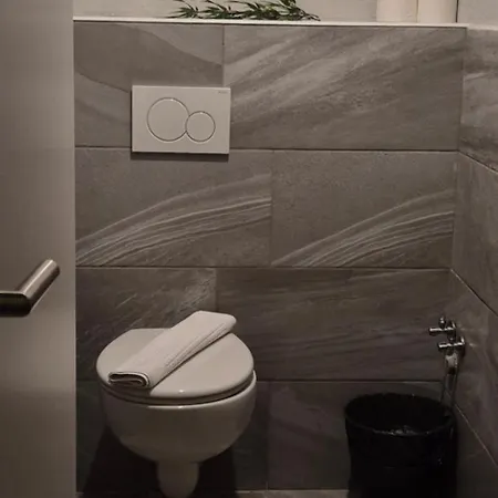 호텔 Adler 골링안데살자흐