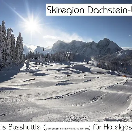 Adler 3* Golling an der Salzach